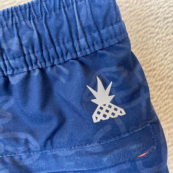 Chubbies Mens Swim Trunks Medium Blue Swimwear Beach Summer Pull On Casual - Picture 7 of 9